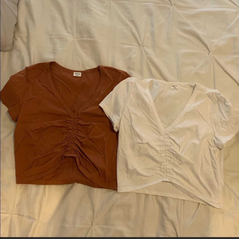 Wilfred levant crop top